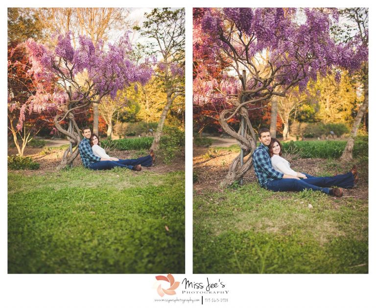 Raleigh portrait photographer