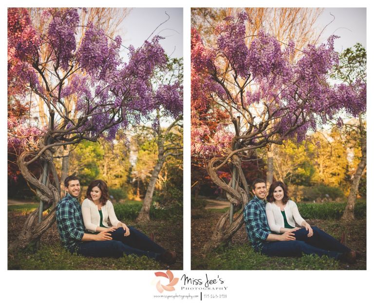 Raleigh portrait photographer