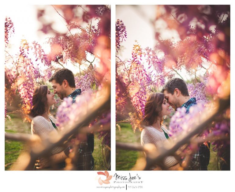 Raleigh portrait photographer