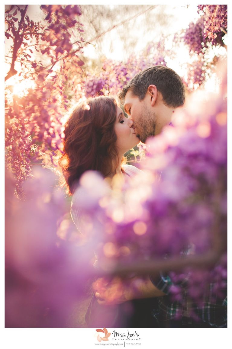 Raleigh portrait photographer